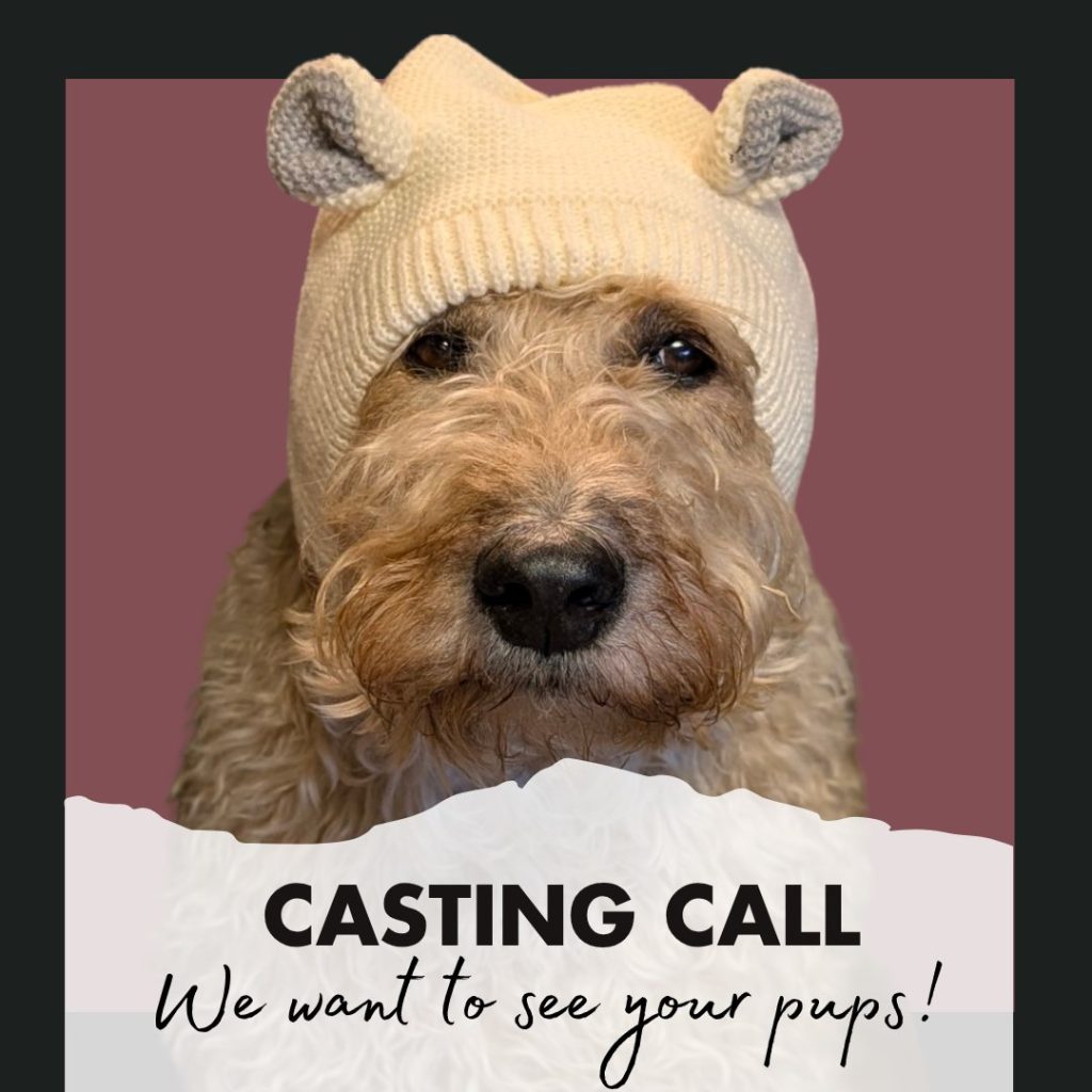 🐾 CASTING CALL: DOG MODELS WANTED! 🐾

Woof! It’s me, Bob the Dog! I’m on the lookout for some furry superstars to feature in our upcoming social media posts. Got a great smile, epic zoomies, or a seriously boopable snoot? We want to see YOU!

📸 What we need:
Send your best photos — action shots, cozy naps, muddy adventures, anything that shows off your pup’s personality!

And what’s more - if you include a little bit of info on what products of ours you LOVE, we’ll enter your name into a draw for $25 off your next online order!

🐶 Who can apply:
All breeds, sizes, and fluff levels welcome. 

💌 How to enter:
Just drop your photos in the comments or DM them to us by Friday October 31 - and don't forget, any extra info gets you entered into our draw!

🐾 Consent Claws 🐾
By sending us your dog’s photos, you’re giving Bob the Dog permission to share them on our social media, website, and promotional materials (with full credit to your pup, of course 🐕✨). If you’d like a photo removed later, just let us know — we’ll take it down, no questions asked.

#BobTheDog #DogCastingCall #DogModelSearch 💕

www.bobthedog.ca
