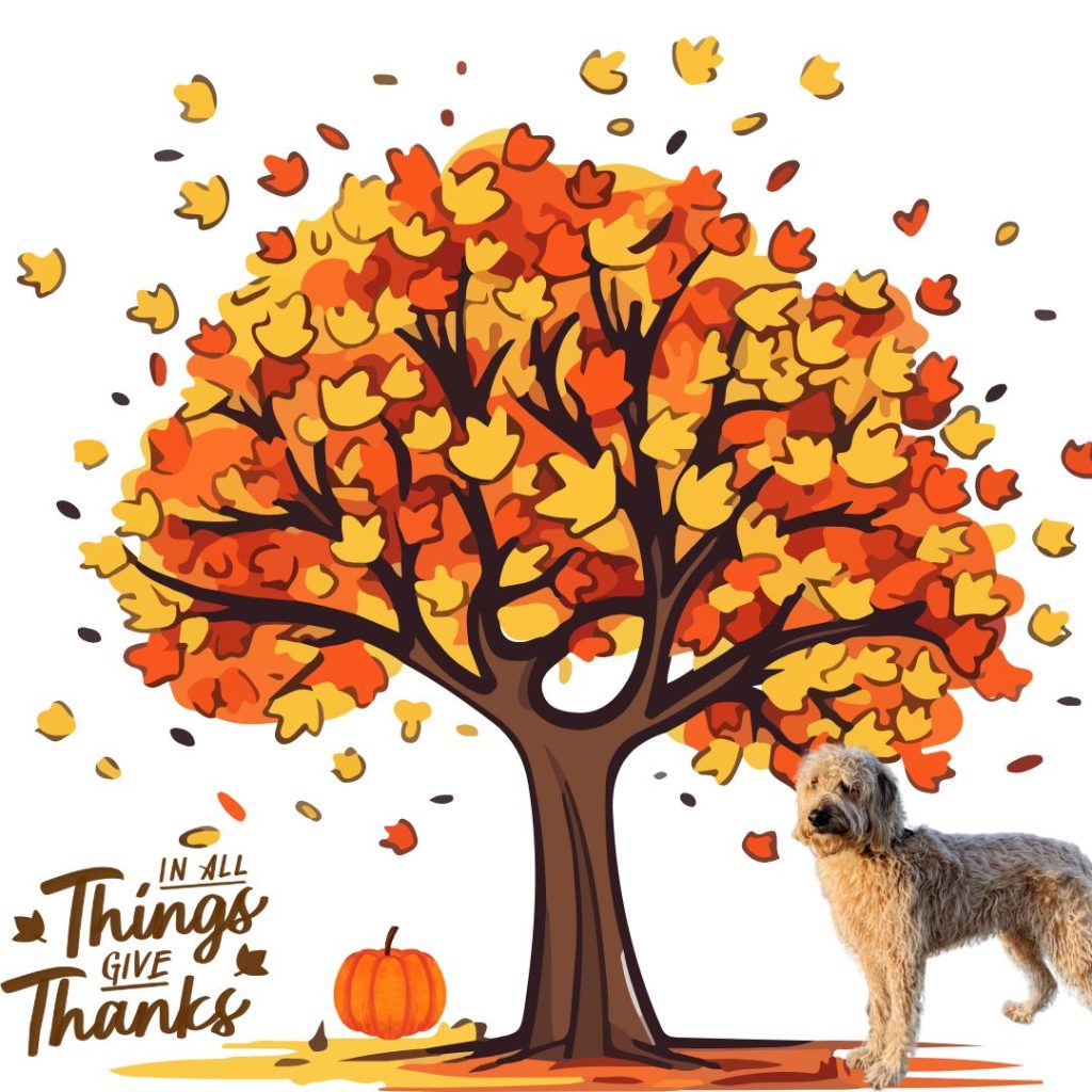 Woof and Happy Thanksgiving!

I’m thankful for so much... ear scritches, all my beds, and that one piece of turkey that “accidentally” falls off the table every year. 😏

Today’s is also about gratitude (and gravy). So here’s mine:
Thank you for the treats.
Thank you for the snuggles.
And thank you for always loving me — even when I steal your turkey sammich.

Wishing you all a day full of warmth, wags, and leftovers.

#HappyThanksgiving #DogThanksgiving #ThankfulDog #TurkeyDay #GratefulPup #GoodDogVibes #DogLife #PawfectDay #DogLovers #FurryThanks #PupAppreciation #BobTheDog 🎃

www.bobthedog.ca