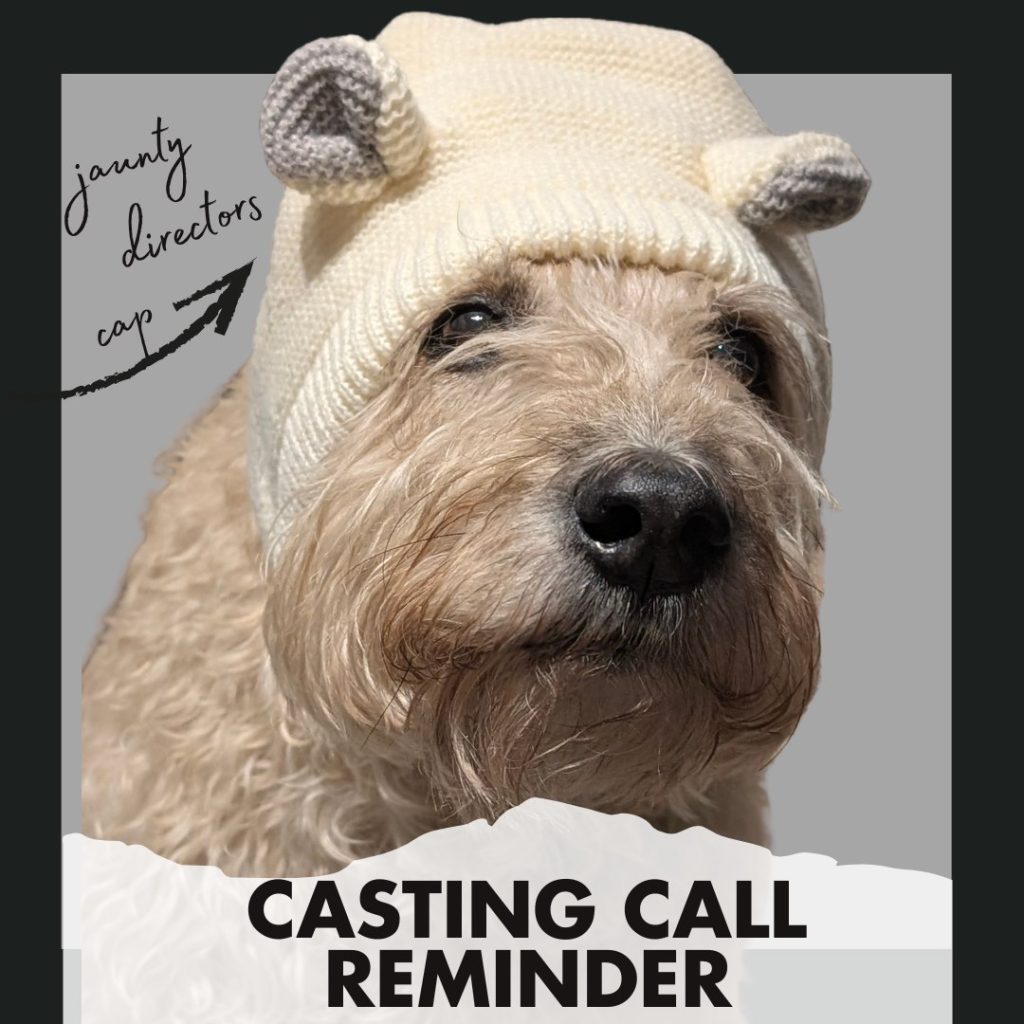 Woof! Just a reminder that I'm still sniffing around for some fabulous furry faces for our upcoming social media features! Does your pup have:
✨ A million-dollar smile?
💨 World-class zoomies?
👃 A dangerously boopable snoot?

We want to see them!

Bonus Treat
Tell us which Bob the Dog products your pup LOVES, and you’ll be entered to win $25 off your next online order!

Who Can Enter
All breeds. All sizes. All levels of floof.

How to Enter
Drop your best pics in the comments or slide into our DMs by Friday, October 31st!

Consent Claws 
By sending us your dog’s photos, you’re giving Bob the Dog permission to share them on our social media, website, and promotional materials (with full credit to your pup, of course). If you’d like a photo removed later, just let us know — we’ll take it down, no questions asked.

#BobTheDog #DogCastingCall #DogModelSearch 

www.bobthedog.ca