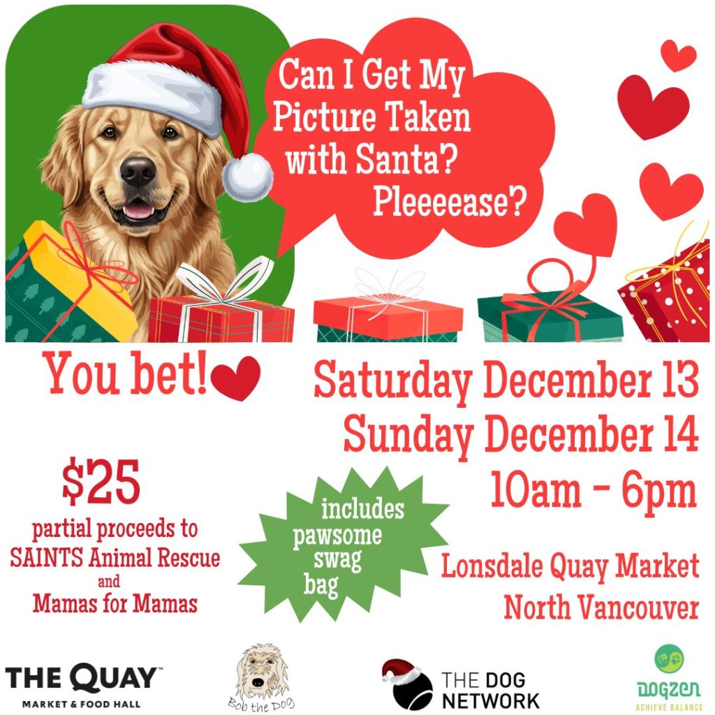 Woof woof! We've got some big news to share with you!

In partnership with The Dog Network, DOG ZEN and the fun folks at The Quay, we are bringing Santa Paws to town!

Bring your humans and join us for Photos with Santa Paws - it’s your chance to show off your best “nice list” face, snag some treats, and maybe whisper a few wish-list items in Santa’s ear.

Tickets are $25, with partial proceeds going towards SAINTS Rescue and Mamas for Mamas.

We will also be collecting donations of unopened pet food, toys, hard goods, and clean blankets, all of which will be donated to SAINTS to help animals in need this holiday season.

This pawsome event will be held on Saturday December 13 and Sunday December 14 from 10am til 6pm outside the main entrance of The Lonsdale Quay Market, so click the link below and get your tickets now before they sell out - woof!

https://bobthedog.ca/product/santa-photos/

#PawsAndClaus #SantaPaws #DogsofChristmas #PhotosWithSanta #GoodDogGoals #thedognetwork #dogzen #lonsdalequay #bobthedog 🐾