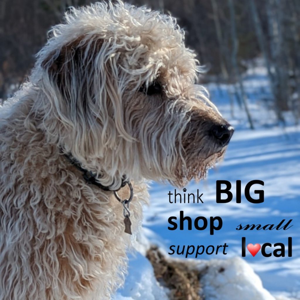 Woof - supporting local isn’t just about shopping—it’s about community, connection, and care.

When you support small, local businesses, you’re helping real people (and real dogs) keep doing what they love. You’re supporting handmade products, thoughtful ingredients, and choices made with heart—not mass production.

Markets, local shops, and online orders from small businesses all help keep communities vibrant and personal. And every order, visit, and kind word truly makes a difference.

From this small dog and his humans—thank you for choosing local, choosing care, and choosing community. 💙

We wouldn’t be here without you.

www.bobthedog.ca
