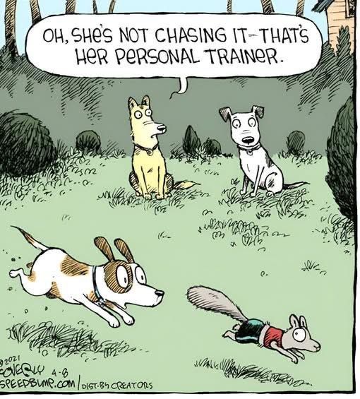 Woof! I gotta get me one of these personal trainers!

www.bobthedog.ca
