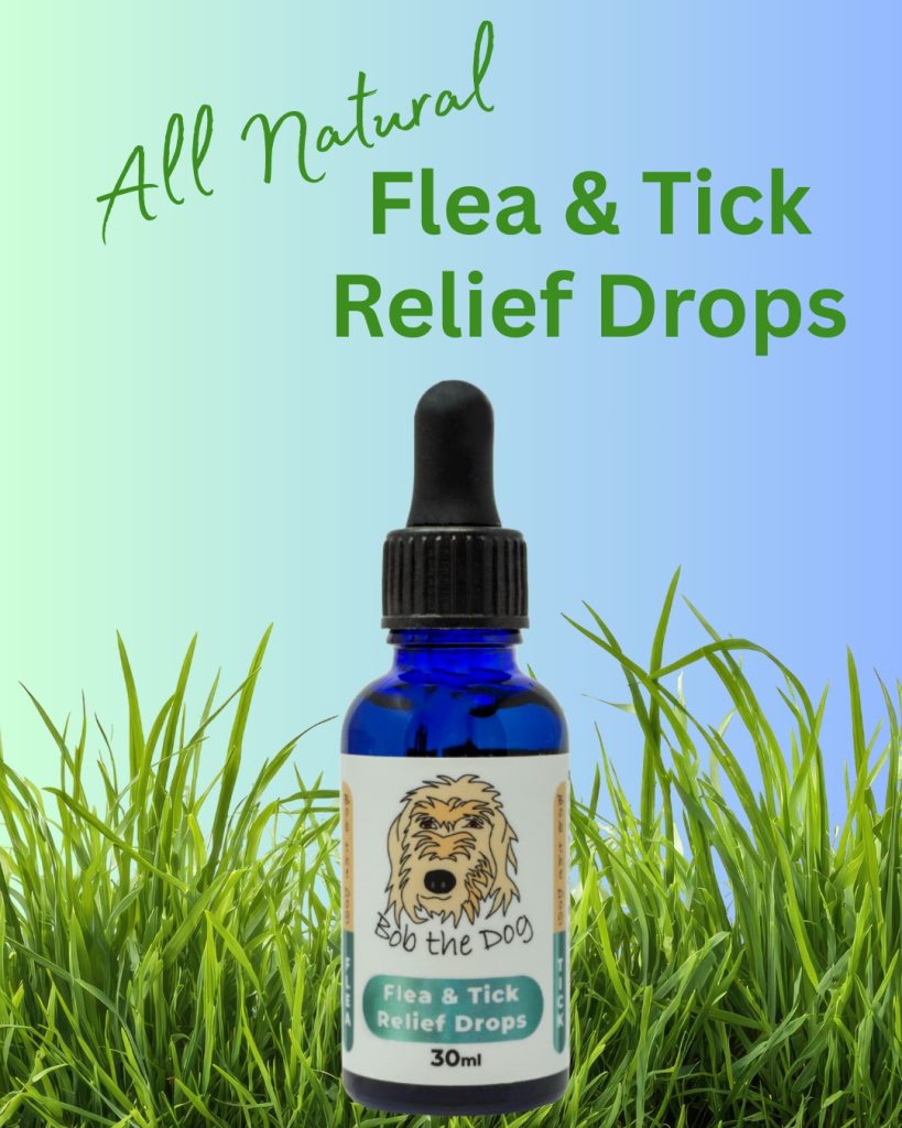 Woof! Flea & Tick Season is coming… are you ready?

With warmer days around the corner, it’s time to think about protection — and our Flea & Tick Relief Drops are here to help keep those creepy crawlies away... the natural way!

✨ Made with thoughtfully selected essential oils
✨ Easy-to-use drop application
✨ A gentle, plant-based alternative to some of the other... treatments
✨ Perfect for spring and summer adventures!

We believe in supporting your pup’s wellness from nose to tail — and that includes protecting them while they sniff every blade of grass they can find (which, let’s be honest, is all of them).

Pop a bottle in your spring routine and head into the season feeling confident.

Because the only thing your dog should bring home from an adventure… is a big smile and maybe a little mud. 

https://bobthedog.ca/product/pest-control/