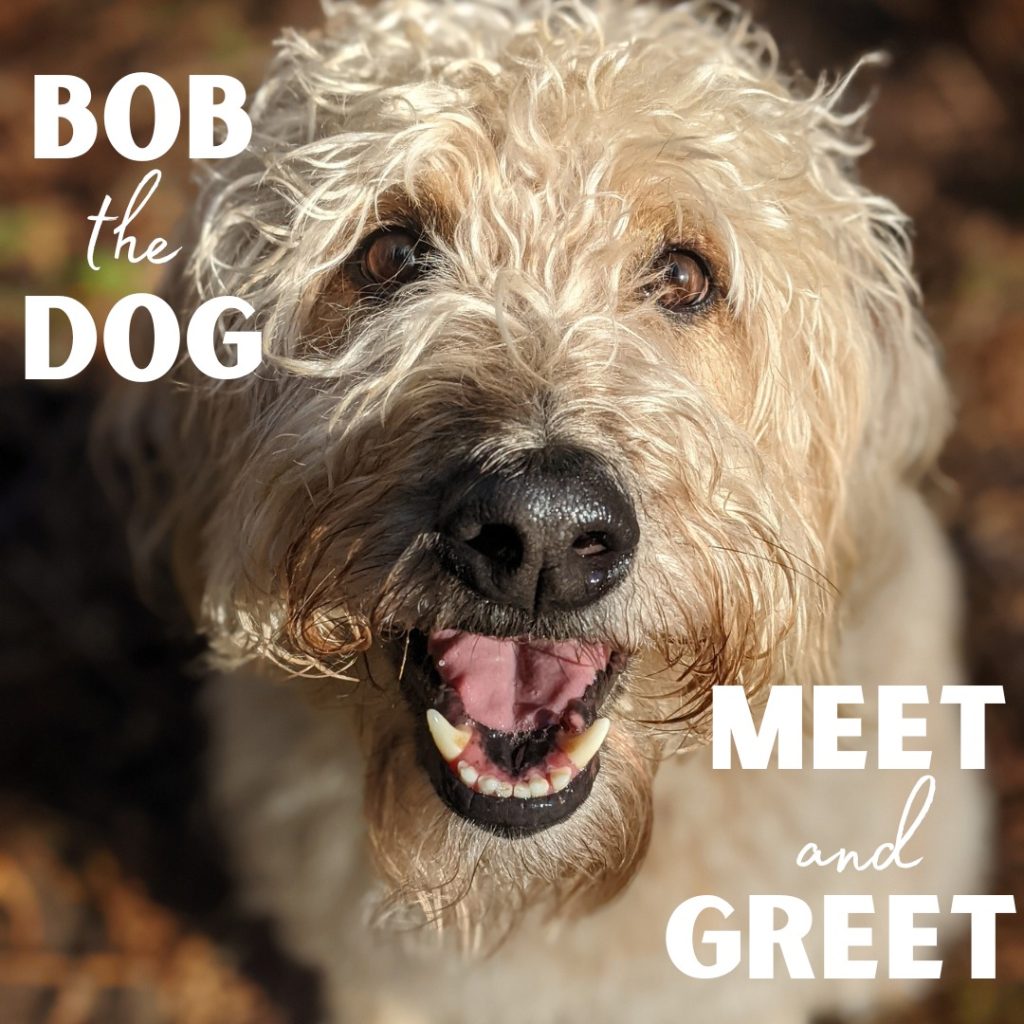 Woof - today is the day!

Come on out to our 2nd annual Bob the Dog Meet and Greet today at Bridgman Park in North Vancouver.

Just a casual get together with you and your pups for some Spring time fun…

We’ll have free samples for the doggos and some light refreshments for the humans. And to make it even more fun, DogZen Commercial Walkers will be joining us, so you don't want to miss out!

TODAY
6:30 – 8:00 PM
Bridgman Park
Main entrance off Keith Road
North Vancouver

www.bobthedog.ca
www.dogzen.ca