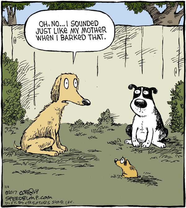 Woof - what's wrong with soundin' like ma? (she made me say that - woof!)

www.bobthedog.ca