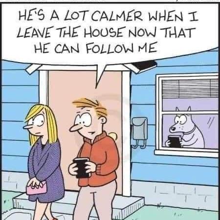 Woof - a funny to kick off the week!

www.bobthedog.ca