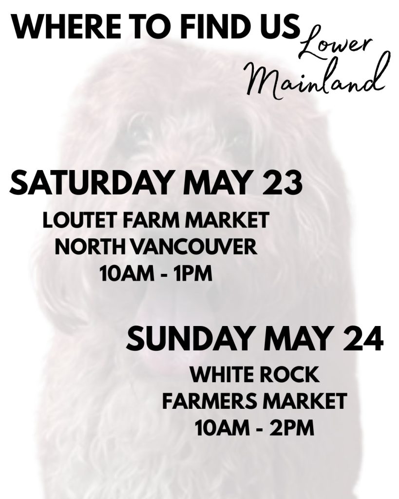 Woof and WOOF - the month is just flying by!

This Saturday you can find us at the Loutet Farm Market at 1400 Rufus Drive in North Vancouver from 10am til 1pm and then on Sunday at the White Rock Farmers' Market at 15154 Russell Avenue from 10am til 2pm.

And just so ya know, if you are ever looking for us, you can always check out our webpage where we post all of our dates!

#shoplocal #bobthedog❤️ #canada #dogsarethebest 

https://bobthedog.ca/find-us/bc-market-dates/