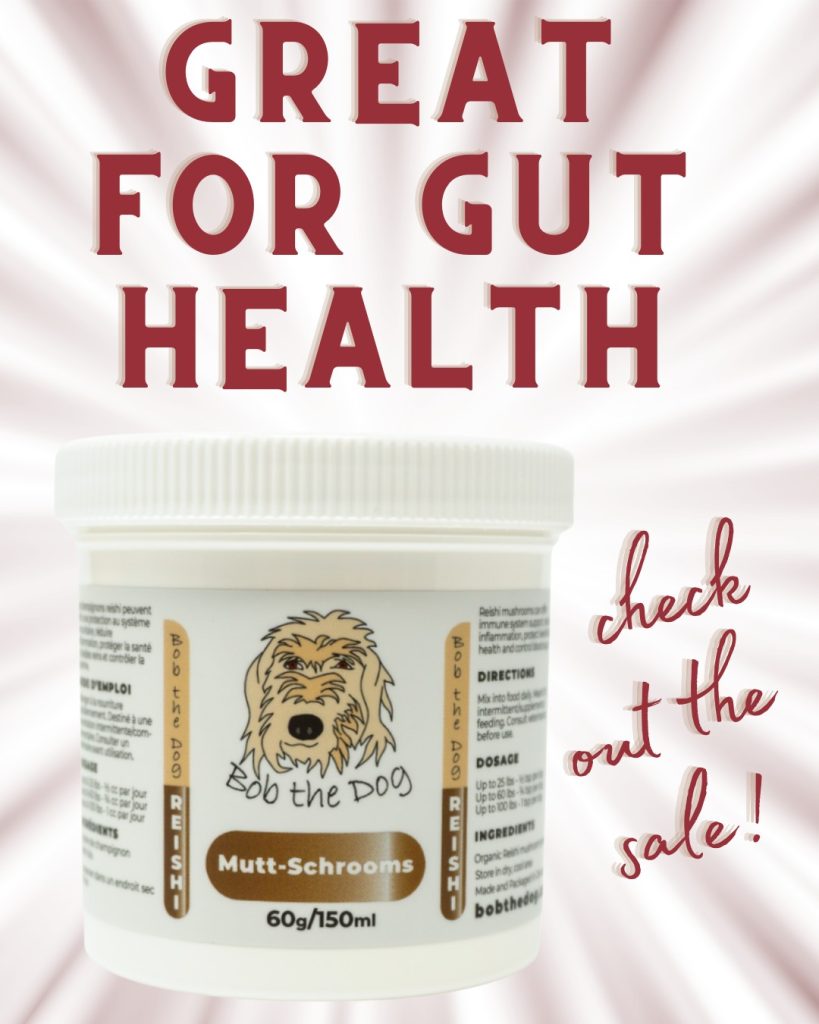 Woof! Did you know that Bob the Dog Canadian-sourced organic ground reishi mushrooms are an awesome supplement that can be mixed right into your dog’s food?

Reishi mushrooms can offer immune support, improve gut health, protect liver and kidney functions, control blood sugar and relieve allergies.

And did you know that improved gut health can mean better smelling breath? Woof!

AND reishi mushrooms work great for humans too, on the very same things – so feel free to share a jar! (My Ma puts some in her coffee every day…)

AAAND they're on sale right now, so go and see!

https://bobthedog.ca/product/mutt-schrooms/

#bobthedog🐶 #reishimushroom #guthealthmatters #supportlocal 💕