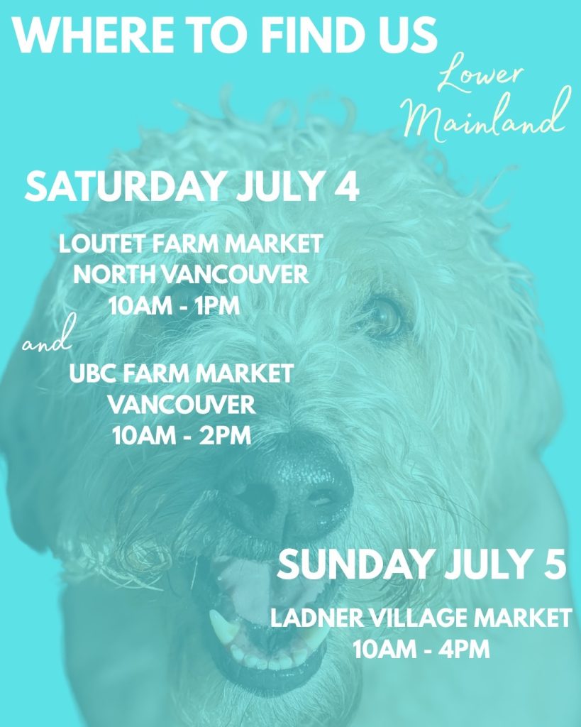 Woof and hello - so many great places this weekend and we can't wait to get out there!  On Saturday you can find us at the Loutet Farm Market on Rufus Drive in North Vancouver from 10am til 1pm AND at the UBC Farm - Centre for Sustainable Food Systems out at... you guessed it, UBC!  We'll be there from 10am til 2pm.  Then on Sunday, we will be at the Ladner Village Market from 10am til 4pm, and we all  know that's always a fun day...!  So many ways to support local this weekend, and we can't wait to see you!  www.bobthedog.ca  #bobthedog #farmersmarket #supportlocal