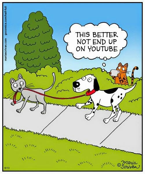 Woof and lol... happy Monday!

www.bobthedog.ca