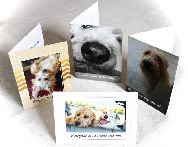 Bob the Dog Greeting Cards