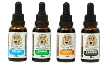 Bob the Dog - CBD for Your Pet