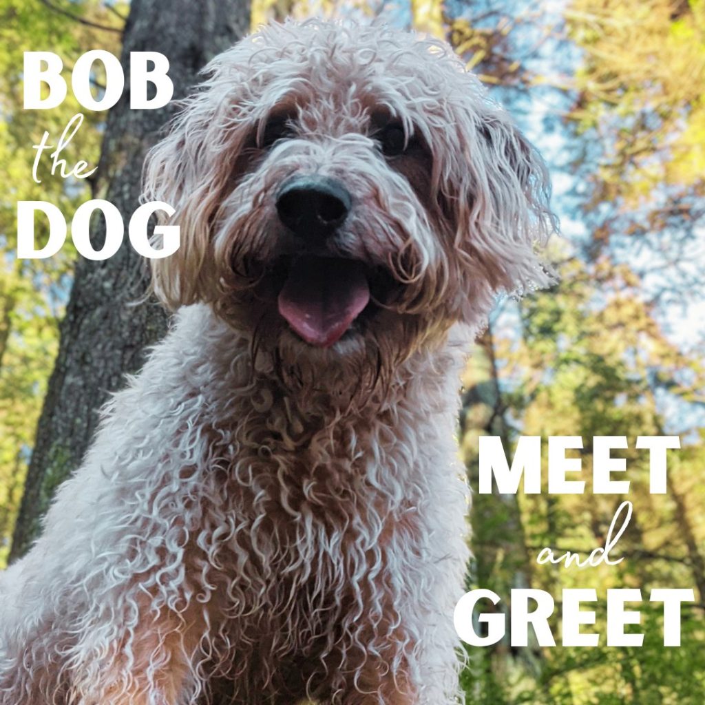 Woof - just a reminder that our 2nd annual Bob the Dog Meet and Greet is next Tuesday April 28 at Brigman Park in North Vancouver!

We'll be there from 6:30 - 8:00pm with the lovely folks from DOG ZEN and we can't wait to see you there - woof!

Tuesday April 28
6:30 – 8:00 PM
Bridgman Park
Main entrance off Keith Road
North Vancouver

www.bobthedog.ca