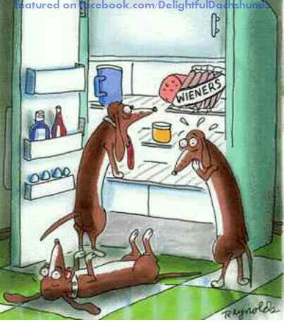 Woof - a Friday Funny just for you... well, funny if you're not a wiener dog - WOOF!

www.bobthedog.ca