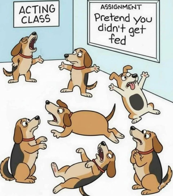 Woof - if y'all only knew how timely this is... That's right, Ma, I'm talkin' to you...!!

www.bobthedog.ca