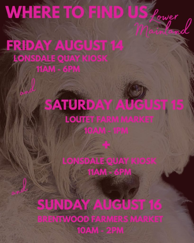 Woof and wow wow! What a weekend we've got coming!

Super fun - we are going to be inside at The Quay in North Vancouver at a fancy kiosk both Friday and Saturday from 11am til 6pm. The Quay has SO MUCH going on these days, so definitely come by!

You can also find us on Saturday at the Loutet Farm Market in North Vancouver from 10am til 1pm and then on Sunday at the Brentwood Farmers Market in Burnaby - our only date there all season!

It's a packed weekend and we can't wait to see you out there with us, lookin' snazzy and supporting local!

#bobthedog🐶 #farmersmarket #locallove♥️ 

www.bobthedog.ca