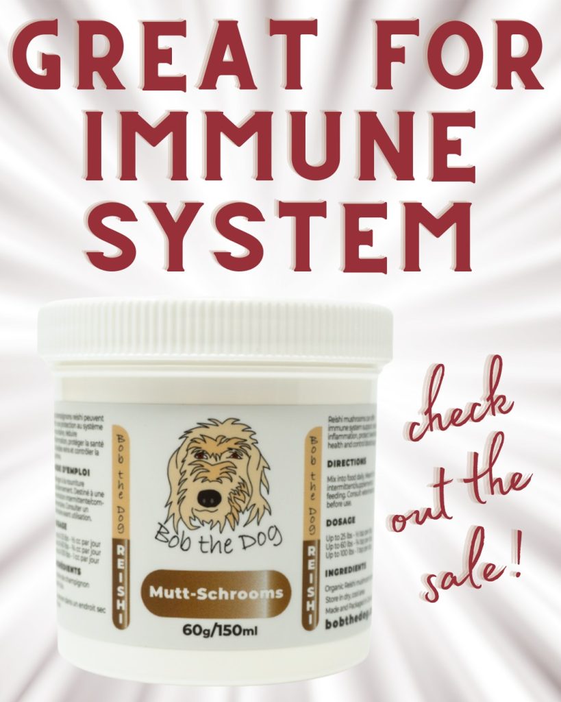 Woof! Did you know that Bob the Dog Canadian-sourced organic ground reishi mushrooms are an awesome supplement that can be mixed right into your dog’s food?

Reishi mushrooms can offer immune support, improve gut health, protect liver and kidney functions, help control blood sugar and relieve allergies.

And honestly, who doesn't need a strong immune system these days, right?

AND reishi mushrooms work great for humans too, on the very same things – so feel free to share a jar! (My Ma puts some in her coffee every day…)

AAAND they're on sale right now, so go and see!

https://bobthedog.ca/shop/

#immunesystem #supplements #pethealthandwellness #supportlocal