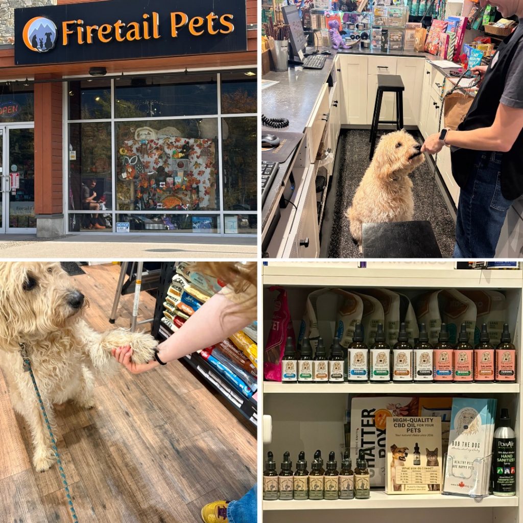 Woof, woof! We have some exciting news for our Squamish pack! 🐶

You can now find Bob the Dog products at @firetailpetstore!

We’re so excited to be available on a regular basis in the Squamish community, making it even easier for you to get your paws on some of your favourite goodies.

From our famous human-grade dog treats to health and wellness products and other pup-approved favourites, everything you need will be right there at Firetail Pets.

As you can see, Bob went in personally to shake some paws and sample some treats... you know, just to make sure everything was up to standard... it was two paws up all around!

So the next time you’re in the area, be sure to drop by and check out all the Bob the Dog goodies as well as all the other amazing products they carry! And be sure to tell them that Bob sent you. 😉

www.firetailpets.com

www.bobthedog.ca

#firetailpets #bobthedog #squamish #locallove #supportlocal