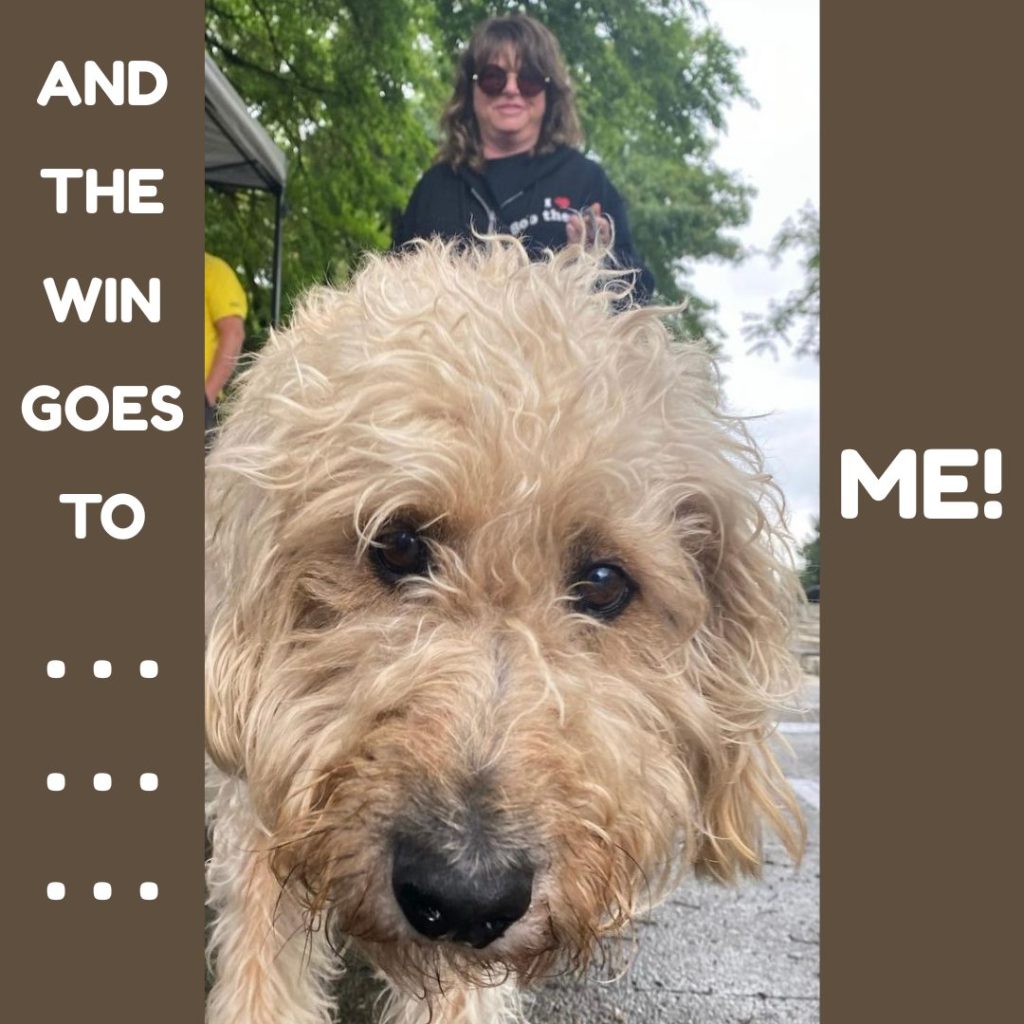 Bob: Woof and WOOF!! No two ways about it, I knocked it outta the PARK in Who Wore it Best (just like those Jays have been doing!) and left ma in da DUST! 

Woof woof WOOF take THAT Ma!  In your FACE!!!!!

Ma: Bob, that's not very gracious of you. Manners, right?

Bob:  MANNERS SHMANNERS!!!

Ma: Bob!!

Bob: .......
Sorry Ma. You rock too. I'll be more gracious, I promise.

Ma: Phhht

Bob: Thanks to everyone who played along and voted for ME! Winner winner CHICKEN DINNER!!! WOOF WOOF WOOF!

Ma: Sigh

www.bobthedog.ca

#whoworeitbest #bluejays #bobthedog #dogsrock