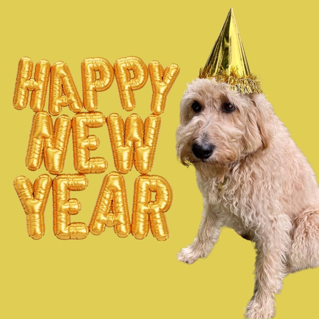WOOF WOOF! It’s me, Bob, crashing your feed to wish you the happiest, tail-waggiest New Year EVER! 

Here’s to another year of adventures, snuggles, and being the goodest good pups we can be. 🐶❤️

See you in 2026… I’ll be the one zooming into it at full speed.

#HappyNewYear #BobTheDog #Goodbye2025 #Hello2026 #NewYearWoofs #DogLife #woof 

www.bobthedog.ca