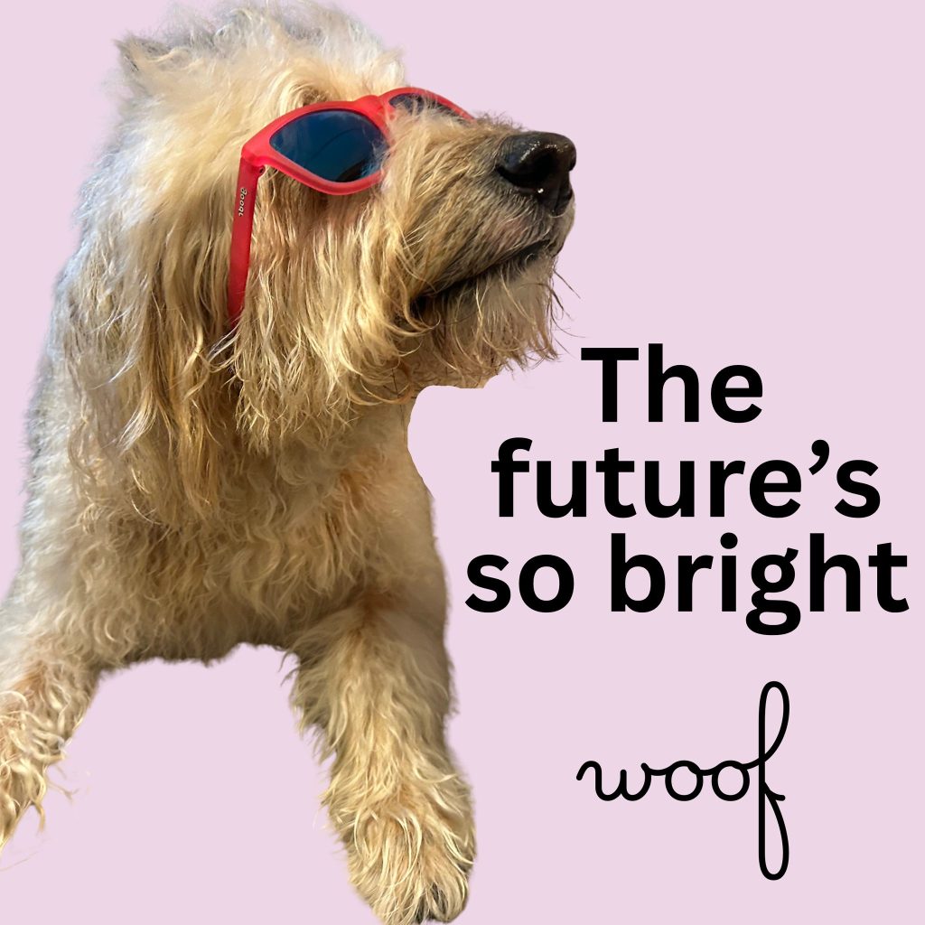 Woof!

We've got so many things to be excited about and we'll be sharing soon!

www.bobthedog.ca

#bobthedog❤️ #newproductscomingsoon‼️ #supportsmall