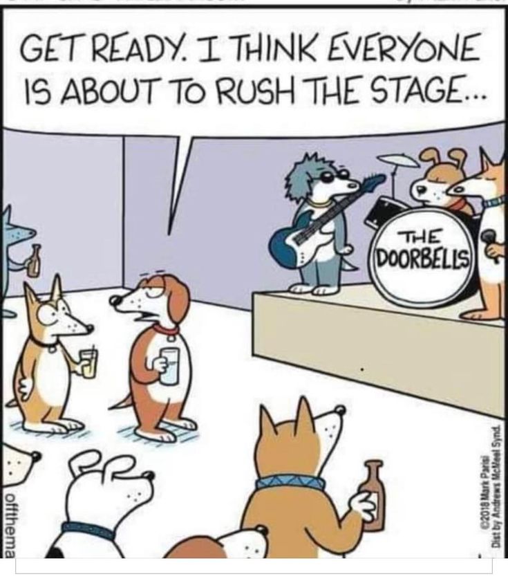 Woof - my favorite band!

www.bobthedog.ca

#funnyisfunny #bobthedog🐶