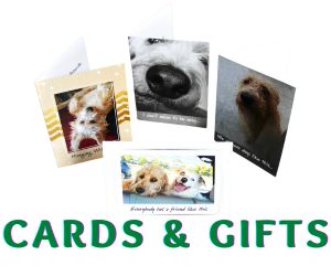 Bob the Dog - Cards and Gifts