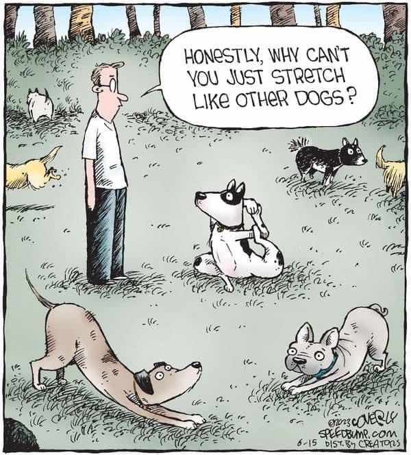 Woof - ma always says it's important to stretch!

www.bobthedog.ca