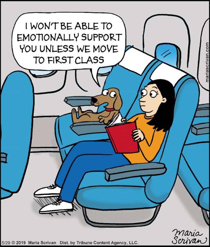 Facts.

www.bobthedog.ca