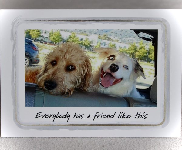 Bob the Dog - Card - Friends