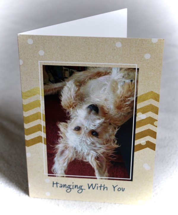 Bob the Dog - Card - Hanging With You