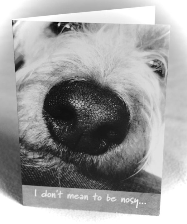Bob the Dog - Card - Nosy