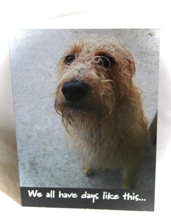 Bob the Dog - Card - Soggy