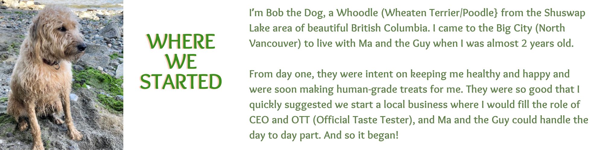 Bob the Dog - Where We Started