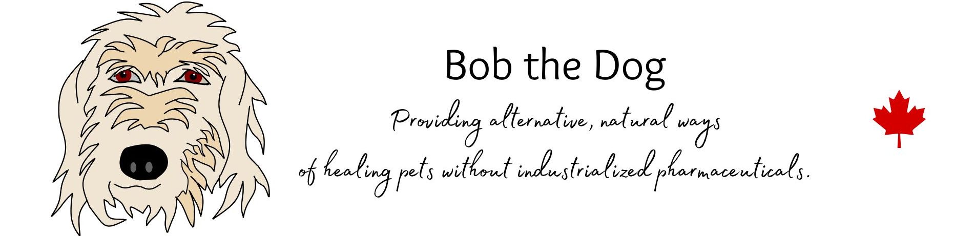 Bob the Dog - Alternative, Natural Ways