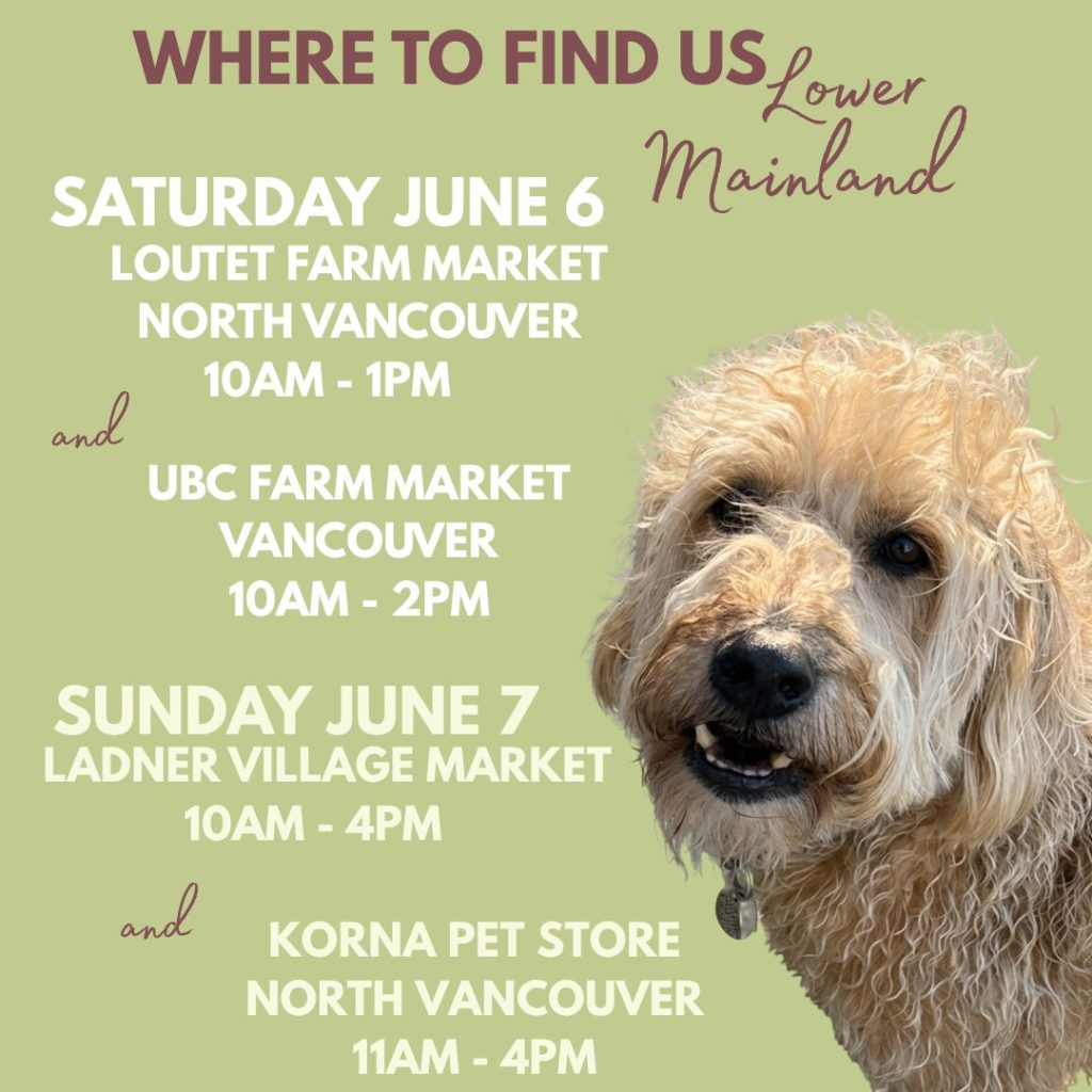 Woof and wowee zowee - we're so many places this weekend we almost couldn't fit it all into the picture!

The Guy is back in the rotation, which means we can be in more places at more times - woof!

On Saturday you can find us at the Loutet Farm Market in North Vancouver from 10am til 1pm AND at the UBC Farm - Centre for Sustainable Food Systems out at... you guessed it, UBC!  We'll be there from 10am til 2pm.

Then on Sunday, we will be at the season opener at Ladner Village Market from 10am til 4pm, and you can also find us at the Customer Appreciation Day at KORNA  Pet Store on Marine Drive in North Vancouver from 11am til 4pm.

So many ways to support local this weekend, and we can't wait to see you!

www.bobthedog.ca

#bobthedog #farmersmarket #supportlocal 🐾💕