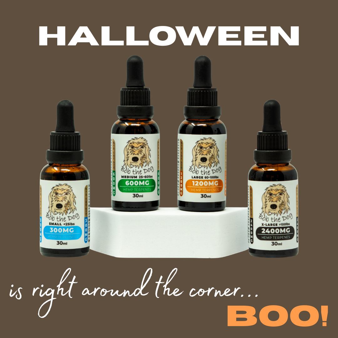 Hello from Bob’s Ma! Bob graciously agreed to let me take over today’s post—he’s such a good boy.

Now, Bob is usually the chillest dog you’ll ever meet… except when it comes to fireworks. And as we know—fireworks season is fast approaching.

In 2018, we were introduced to CBD as a possible solution for helping Bob cope through Halloween. We figured it was worth a try and started giving it to him about a week before the big night (since it needs a few days to build up in their system).

I’ll admit, I didn’t notice much change at first and was feeling a little discouraged. But by day 4 or 5, something shifted—he wasn’t reacting as strongly to the whistles and pops. He still noticed them but seemed… less bothered.

Come Halloween night, when things really went bonkers, he stayed in the living room with us. Still alert and wanting to be close, but not shaking, panting, or trying to burrow into the back of my closet. For us, that was a huge win.

We used CBD on and off for the next couple of years—mainly around Halloween and New Year’s and were consistently impressed with the results.

Then when Bob turned 6 (don’t ask why that was my magic number), I decided to make it part of his daily routine. I wanted to stay ahead of any age-related issues, especially around mobility and inflammation. .

Fast forward to today… Bob is now 11 years old and still leaping over fences in pursuit of squirrels and what's more, he chased a bear out of our backyard just a couple of weeks ago - you should have seen that bear go! Bob was pretty chuffed with himself that day...

People always comment on how incredible he looks—and then fall over when I tell them his age. I like to say he got it from his mama. 🥰

Bottom line: if your pup struggles with fireworks or inflammation, we truly can’t recommend CBD enough.

Got questions? We’re always here to help.

www.bobthedog.ca