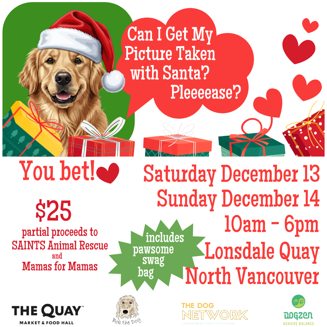 Marketing image for santa photos