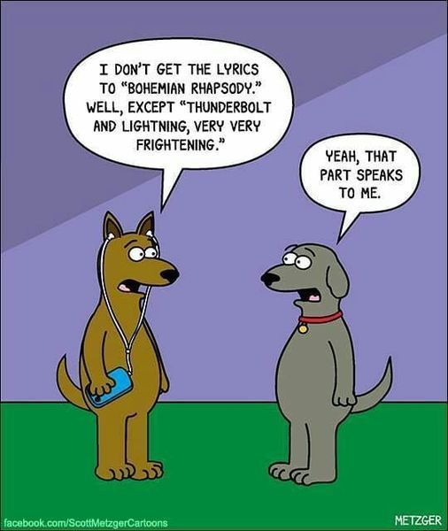 Woof - dog humour is the BEST.

www.bobthedog.ca

#thunderbolt #lightning #bobthedog🐶