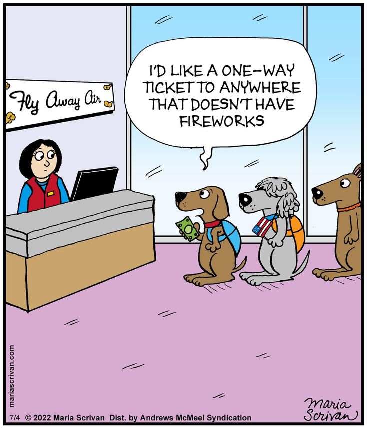 Truth.

www.bobthedog.ca

#halloween🎃 #fireworks💥 #staystrong #bobthedog🐶