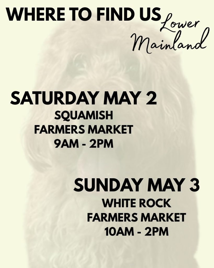Woof woof and here we go!

It's our first official market weekend of the season and we've got some great ones lined up!

On Saturday you can find us at the Squamish Farmers' Market from 9am til 2pm (downtown core, 37996 Cleveland Avenue) and then on Sunday we'll be at the White Rock Farmers' Market from 10am til 2pm (15154 Russell Avenue).

Looks like we're in for some beauty weather too, so be sure to get out there and support local!

And just a little heads up that we always post our market dates on our website, making it easy peasy to find us - woof!

https://bobthedog.ca/find-us/bc-market-dates/

#bobthedog #supportlocalbusinesses❤️ #farmersmarket