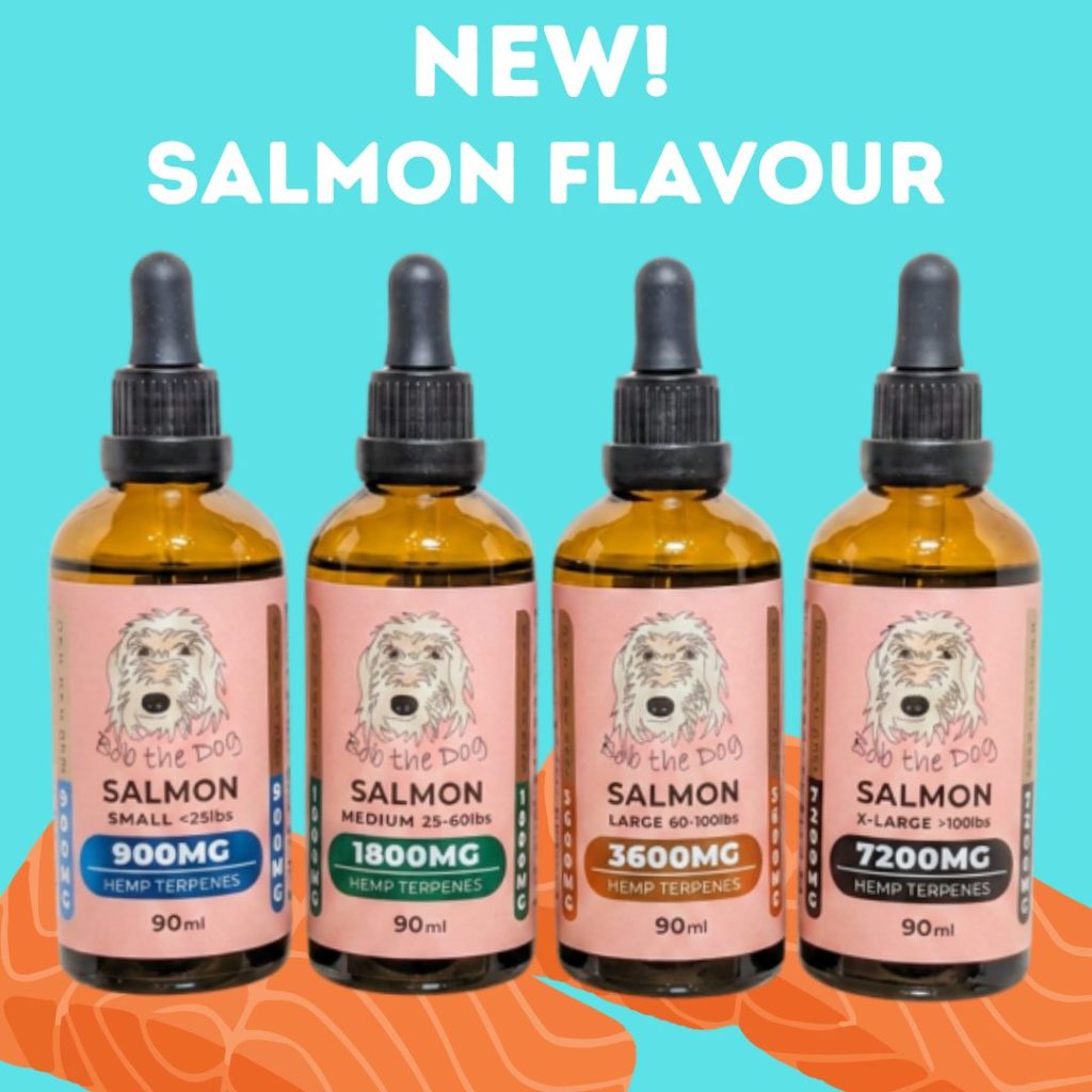 Woof! We've been teasing for a while now, but finally something new is here...

Say hello to our new Salmon Flavour CBD! 🍣

Our original plain flavour has been a customer favourite for a long time, and now we're excited to offer a delicious salmon option for pets who love a little extra flavour.

As always, this formula is THC‑free, so there is no “high”—just clean, plant‑based calm and comfort assisting with inflammation, anxiety, and arthritis.

Same trusted CBD. New salmon taste they'll love. 💙

Available now!

(Ingredients: organic MCT oil, hemp terpenes, wild Alaskan salmon oil, natural non-GMO vitamin E)

www.bobthedog.ca

#bobthedog🐶 #PetWellness #CBDForPets #SalmonFlavor #NaturalWellness #supportlocal