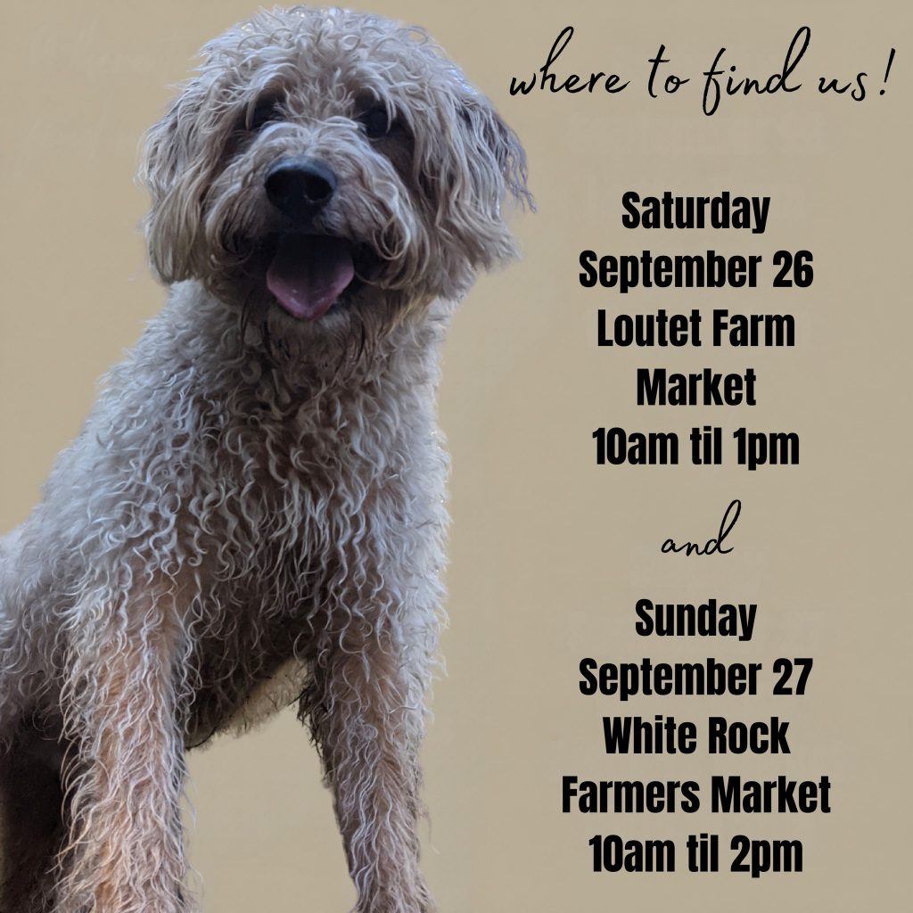Woof! Fall is in the air and it's time for another great market weekend!

On Saturday you can find us out at the Loutet Farm Market in North Vancouver from 10am til 1pm... and then on Sunday we will be at the White Rock Farmers' Market from 10am til 2pm

Can't wait to see you at either (or both!) of these pawsome markets!

www.bobthedog.ca

#locallove #farmersmarket #bobthedog❤️