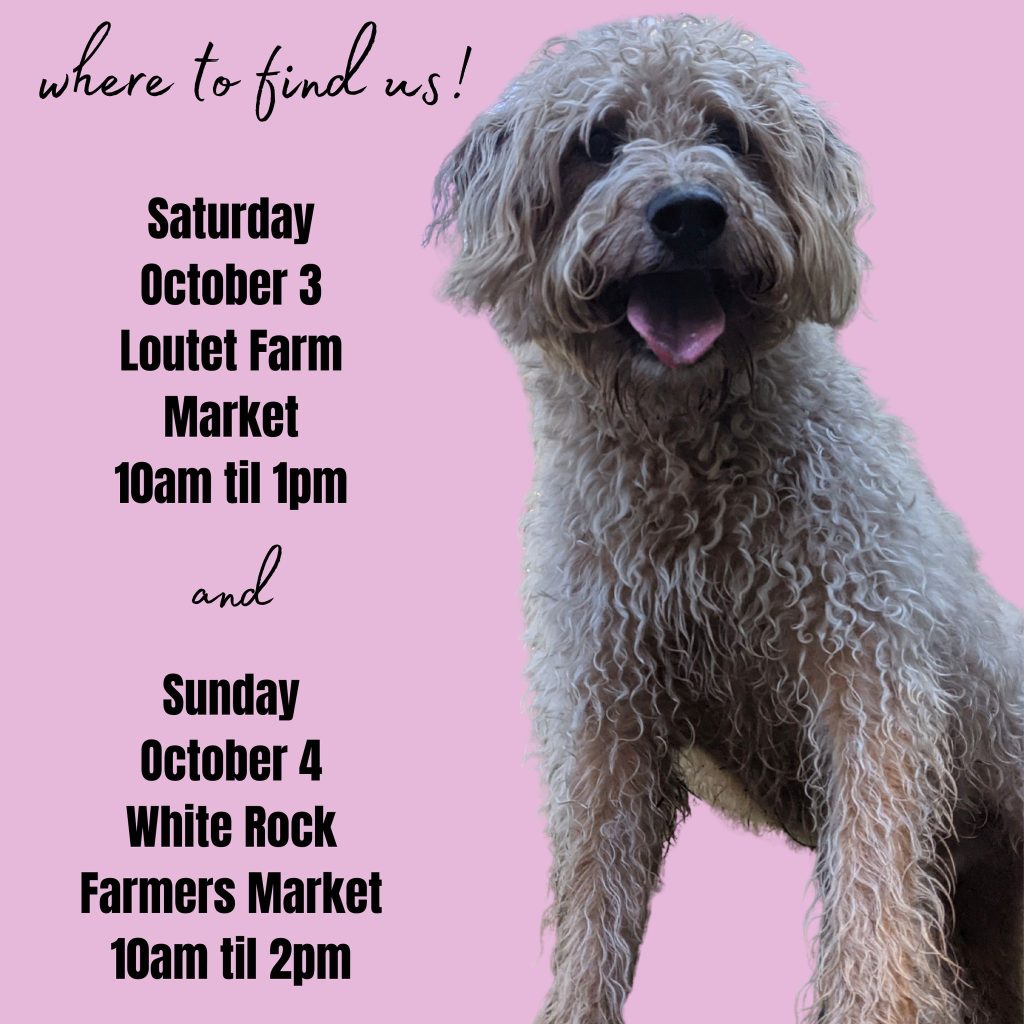 Woof! Our regular season is winding down so we would love to see you this weekend!

On Saturday you can find us out at the Loutet Farm Market in North Vancouver from 10am til 1pm... and then on Sunday we will be at the White Rock Farmers' Market from 10am til 2pm

Can't wait to see you at either (or both!) of these pawsome markets!

www.bobthedog.ca

#locallove #farmersmarket #bobthedog❤️