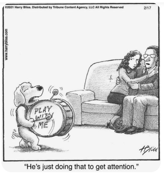 Woof - it must be Friday cuz that is funny!  www.bobthedog.ca