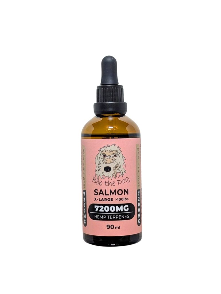 CBD X-Large Salmon Oil