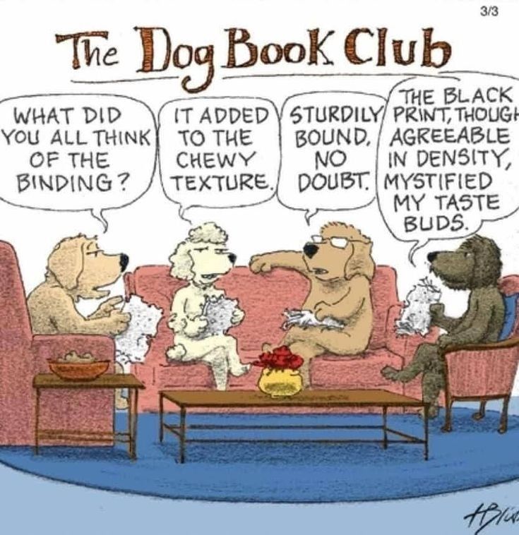 Woof WOOF! If you know my Ma, this tracks...

Happy Friday!

www.bobthedog.ca

#bookclub #bobthedog❤️