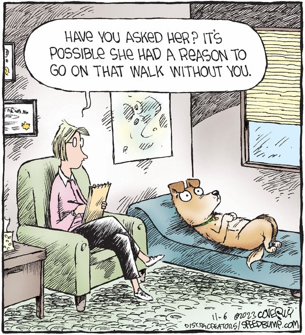 Woof - the trauma is REAL!

www.bobthedog.ca