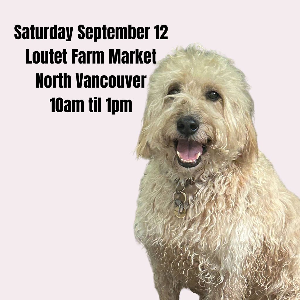 Woof woof ooooh boy is my Ma in trouble... She's been fallin' down on the job lately with the whole social media thing. I had a serious talk with her, makin' it clear she better pull up her socks an' quick! We got standards here at Bob the Dog, right?

We've got just one great market this weekend out at the Loutet Farm in North Vancouver from 10am til 1pm... and when you see her there, feel free to wag a finger in her direction, like she does to ME when I make bad decisions 🐾 

www.bobthedog.ca

#locallove #farmersmarket #badma #bobthedog❤️