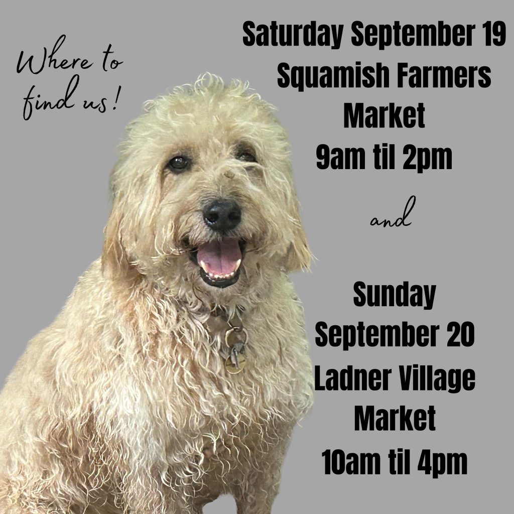 Woof - what a great weekend ahead and the weather promises to deliver!

On Saturday, you can find us at the Squamish Farmers' Market from 9am til 2pm and then for the last market of their season, we will be at the Ladner Village Market on Sunday from 10am til 4pm.

That's what I mean when I say a great weekend - woof! And we can't wait to see you there, supporting local in all your glory...

www.bobthedog.ca

#shoplocalsupportlocal #sunshine🌞 #bobthedog🐶